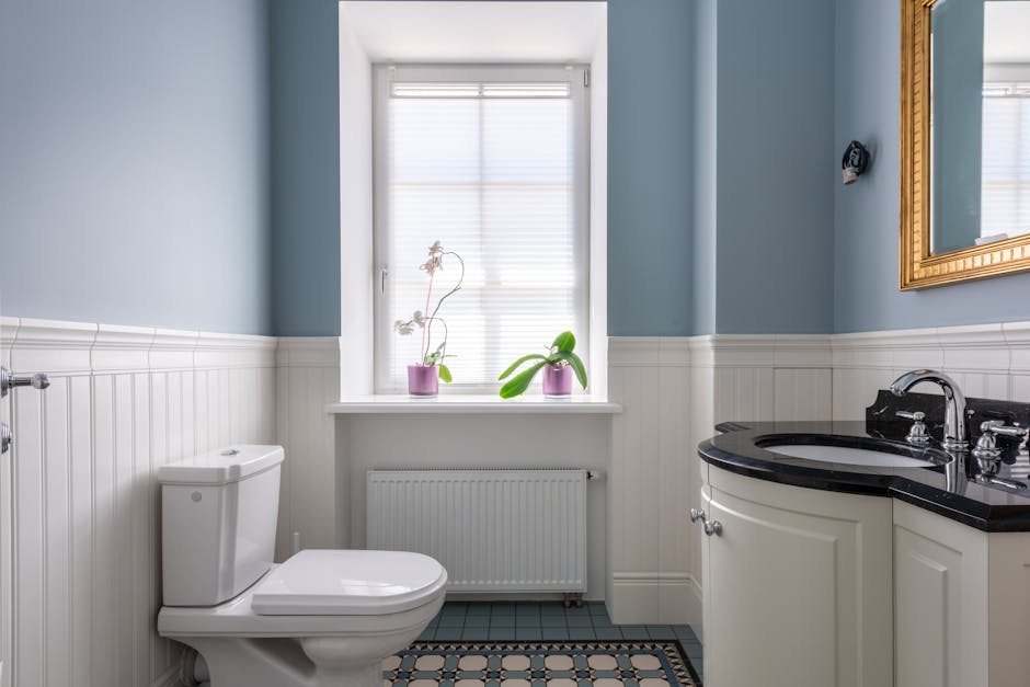 Toilet Repair & Installation in Coral Springs, FL - The Coral Springs Plumber